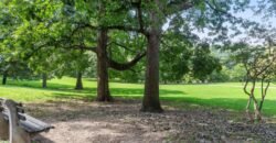 50 Park Terrace East, Unit 7E, Manhattan, NY