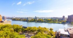 Apartamento de 1 Quarto à Venda em Manhattan Nova Iorque