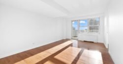 Apartamento de 1 Quarto à Venda em 363 East 76th Street – Manhattan, Nova Iorque