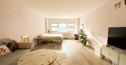 211 East 53rd Street, Unit 9H, Midtown East, Manhattan, NY 10022