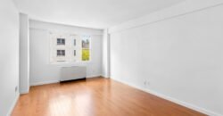 Apartamento de 1 Quarto à Venda em Manhattan Nova Iorque