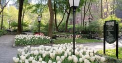 Studio à Venda em 25 Tudor City Place – Manhattan, Nova Iorque