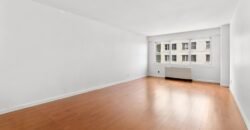 Apartamento de 1 Quarto à Venda em Manhattan Nova Iorque