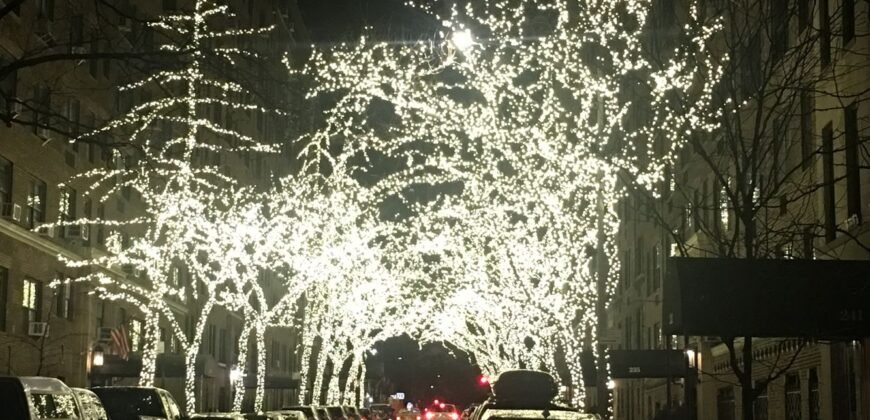 235 East 73rd Street, Unit 1G, Manhattan, NY