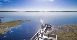 16301 Spring View Ct, Clermont, FL 34711, USA