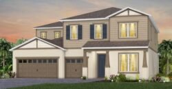 3279 Buoy Cir, Oakland, FL 34787, USA