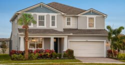 19222 Blue Pond Dr, Lutz, FL 33558, USA