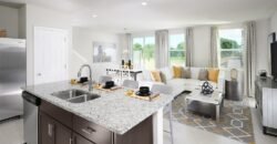 1123 Desert Candle Dr, Ocoee, FL 34761, USA