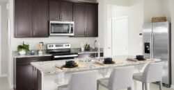 1123 Desert Candle Dr, Ocoee, FL 34761, USA