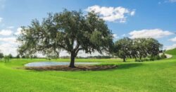 1 Mirada Blvd, San Antonio, FL 33576, USA