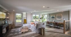 2584 Cobalt Shrs Ln, Clearwater, FL 33761, USA