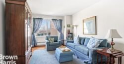 570 Grand Street, Unit H1103, Lower East Side, Manhattan, NY 10002