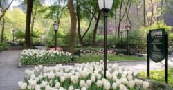 Studio à Venda em 25 Tudor City Place – Manhattan, Nova Iorque