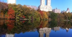 Apartamento de 1 Quarto à Venda em Manhattan Nova Iorque