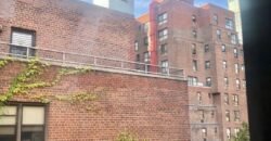 319 East 50th Street, Unit 12L, Manhattan, NY