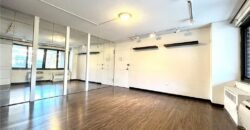 100 Beekman Street, Unit 2A, Manhattan, NY