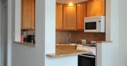 467 West 57th Street, Unit 3A, Hell’s Kitchen, Manhattan, NY 10019