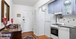 570 Grand Street, Unit H1103, Lower East Side, Manhattan, NY 10002