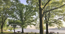 779 Riverside Drive, Unit B53, Washington Heights, Manhattan, NY 10032