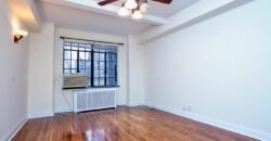 25 Tudor City Place, Unit 916, Manhattan, NY