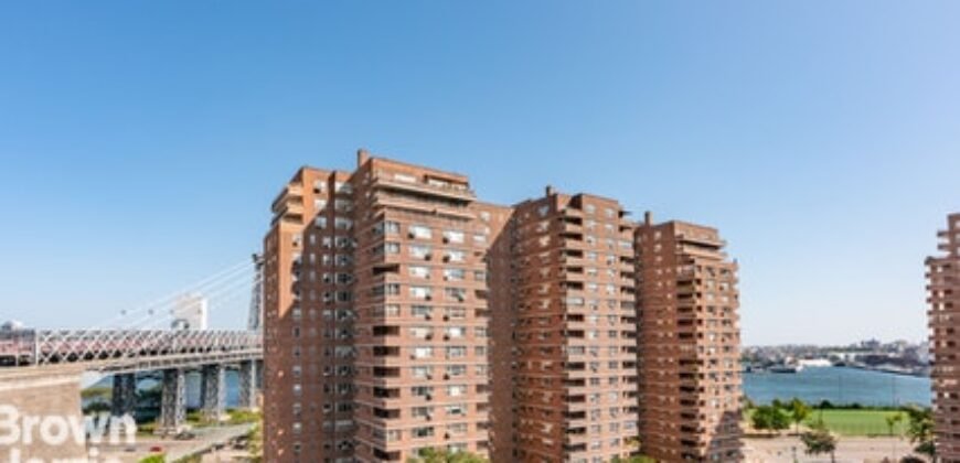 570 Grand Street, Unit H1103, Lower East Side, Manhattan, NY 10002