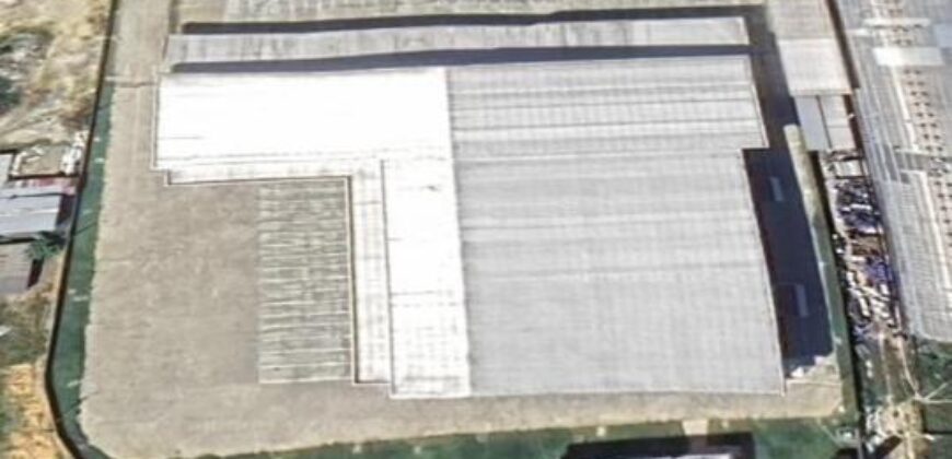 Centro de Distribuição com Câmara Fria e Depósito Seco de Alta Capacidade à Venda em Manaus