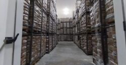 Centro de Distribuição com Câmara Fria e Depósito Seco de Alta Capacidade à Venda em Manaus