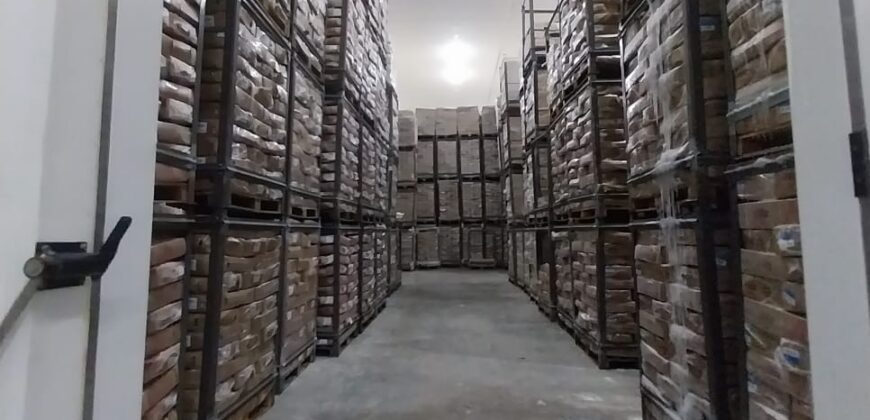 Centro de Distribuição com Câmara Fria e Depósito Seco de Alta Capacidade à Venda em Manaus