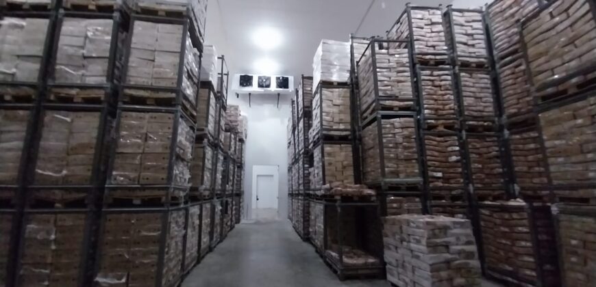 Centro de Distribuição com Câmara Fria e Depósito Seco de Alta Capacidade à Venda em Manaus