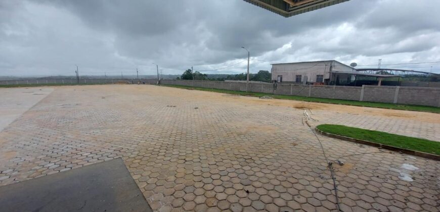 Centro de Distribuição com Câmara Fria e Depósito Seco de Alta Capacidade à Venda em Manaus
