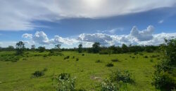 Fazenda à Venda no Município de Flores de Goiás