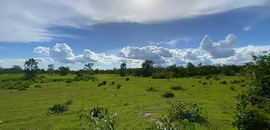 Fazenda à Venda no Município de Flores de Goiás