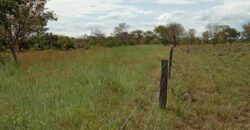 Fazenda à Venda em Flores de Goiás