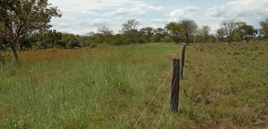 Fazenda à Venda em Flores de Goiás