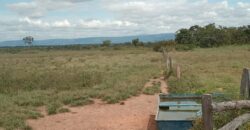 Fazenda à Venda em Flores de Goiás