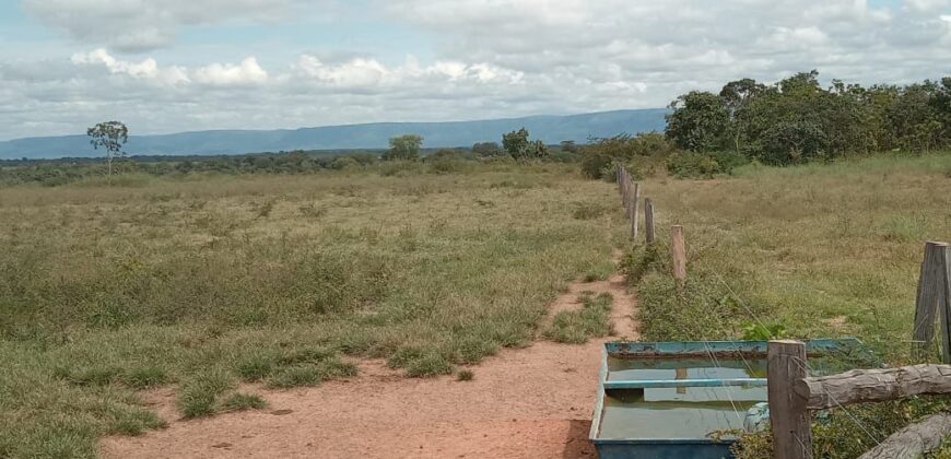 Fazenda à Venda em Flores de Goiás