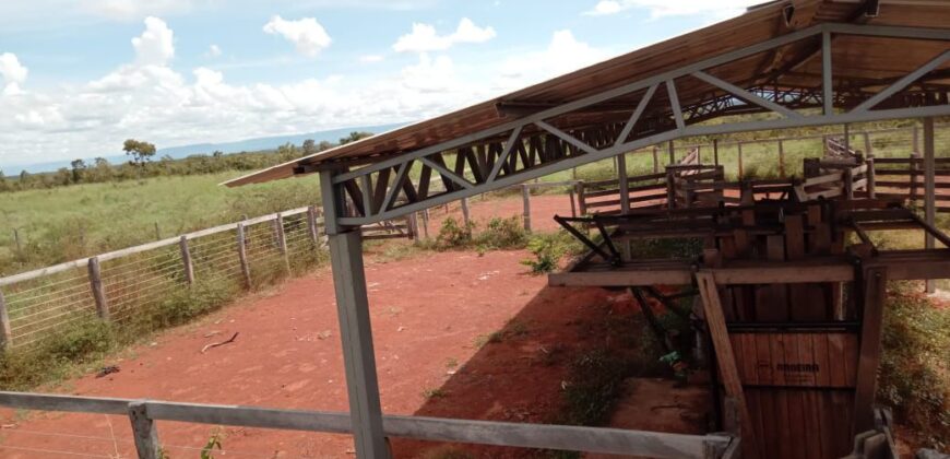 Fazenda à Venda em Flores de Goiás