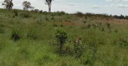 Fazenda à Venda em Flores de Goiás
