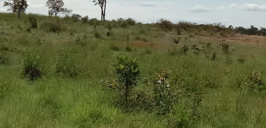 Fazenda à Venda em Flores de Goiás