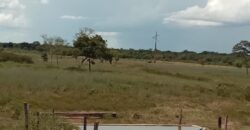 Fazenda à Venda em Flores de Goiás