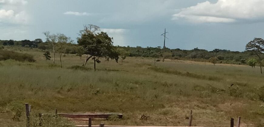 Fazenda à Venda em Flores de Goiás