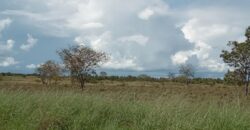 Fazenda à Venda em Flores de Goiás