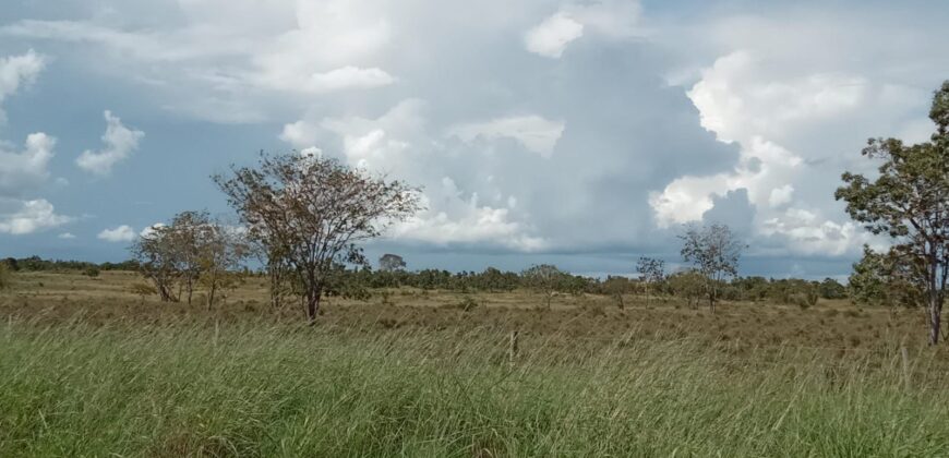 Fazenda à Venda em Flores de Goiás