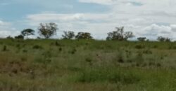 Fazenda à Venda em Flores de Goiás