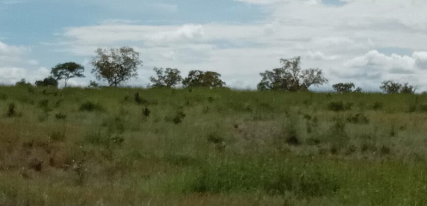Fazenda à Venda em Flores de Goiás