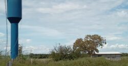 Fazenda à Venda em Flores de Goiás