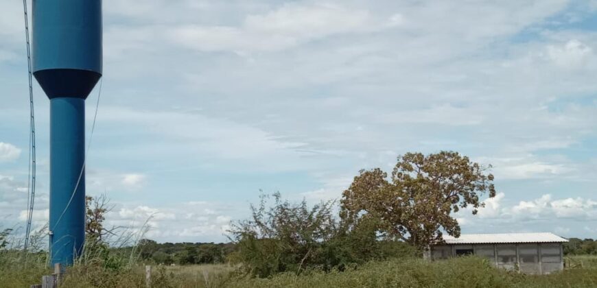 Fazenda à Venda em Flores de Goiás