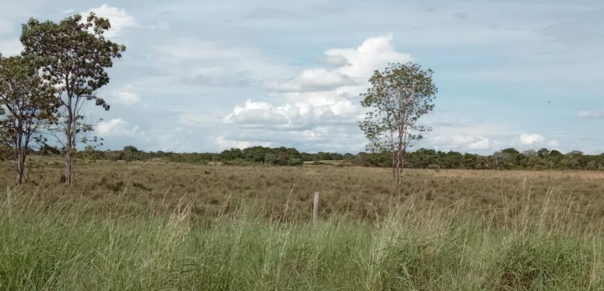 Fazenda à Venda em Flores de Goiás
