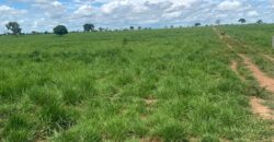 Fazenda à Venda em Iaciara Goiás
