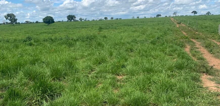 Fazenda à Venda em Iaciara Goiás
